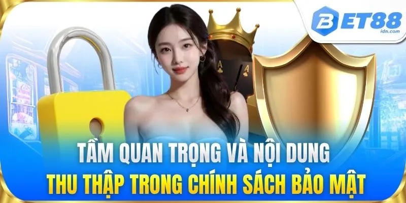 Tầm quan trọng và nội dung thu thập trong chính sách bảo mật